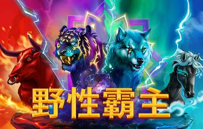 竞技联盟德州sohoo官网版